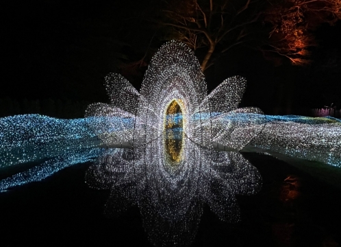 イルミネーション